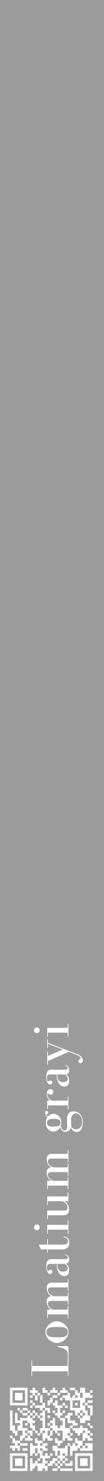 Étiquette de : Lomatium grayi - format a - style blanche52bod avec qrcode et comestibilité - position verticale