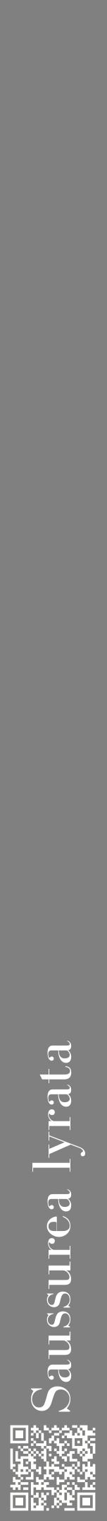 Étiquette de : Saussurea lyrata - format a - style blanche57bod avec qrcode et comestibilité