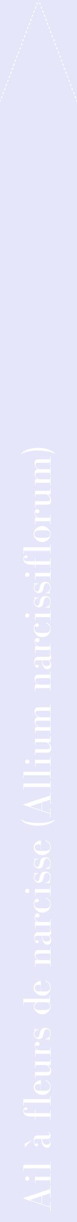 Étiquette de : Allium narcissiflorum - format b - style blanche55bod avec comestibilité