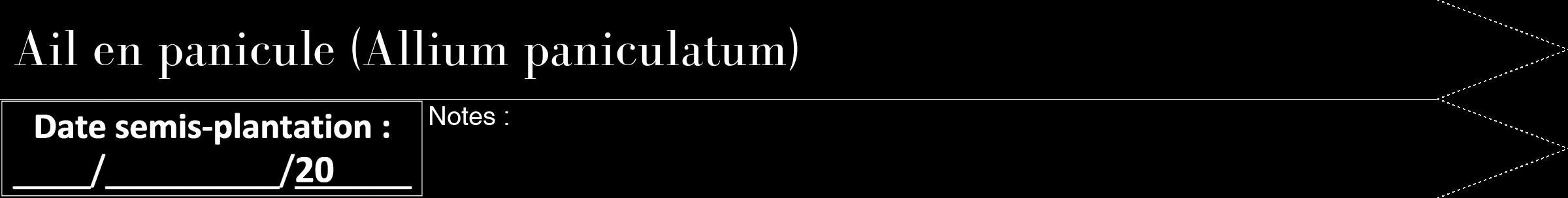 Étiquette de : Allium paniculatum - format b - style blanche59bod avec comestibilité