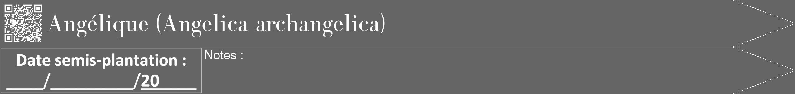 Étiquette de : Angelica archangelica - format b - style blanche32bod avec qrcode et comestibilité