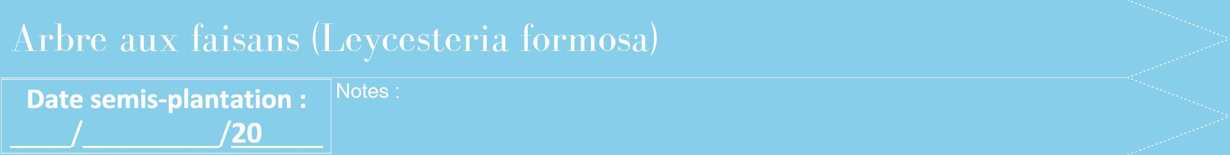 Étiquette de : Leycesteria formosa - format b - style blanche1bod avec comestibilité