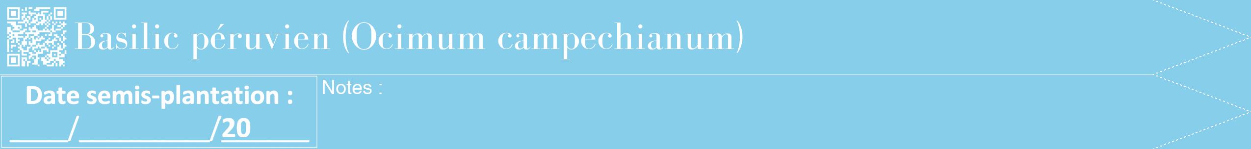 Étiquette de : Ocimum campechianum - format b - style blanche1bod avec qrcode et comestibilité