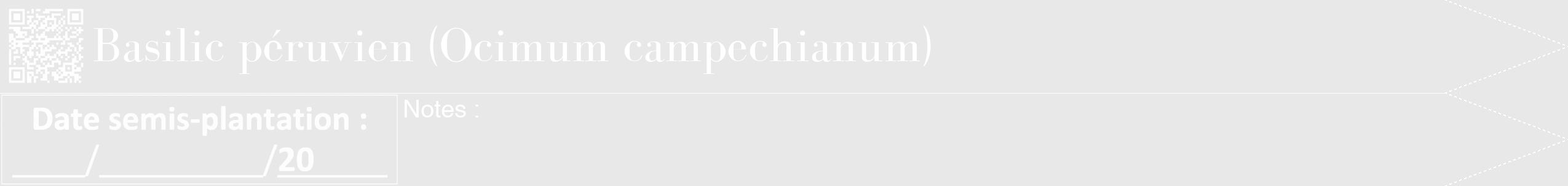 Étiquette de : Ocimum campechianum - format b - style blanche55bod avec qrcode et comestibilité