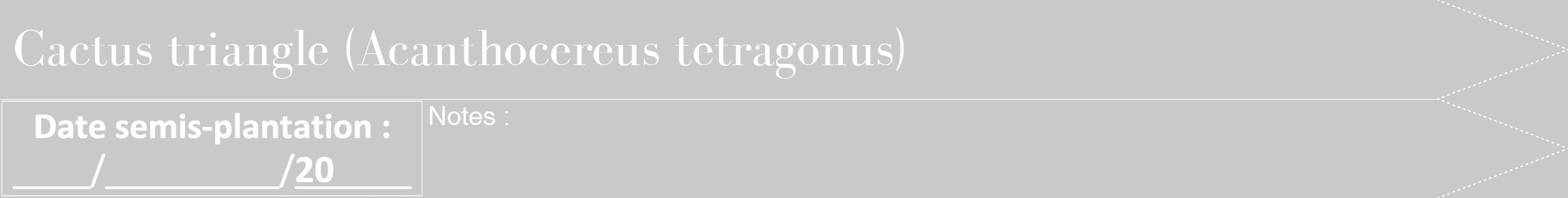 Étiquette de : Acanthocereus tetragonus - format b - style blanche54bod avec comestibilité