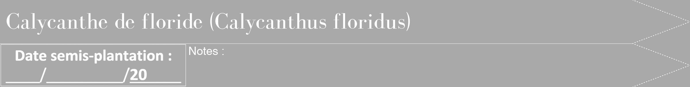 Étiquette de : Calycanthus floridus - format b - style blanche13bod avec comestibilité