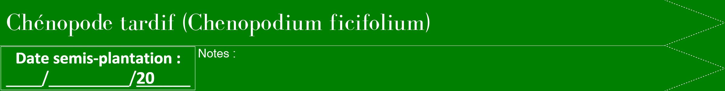 Étiquette de : Chenopodium ficifolium - format b - style blanche9bod avec comestibilité