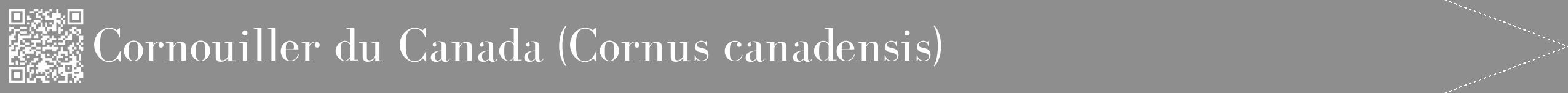 Étiquette de : Cornus canadensis - format b - style blanche25bod avec qrcode et comestibilité