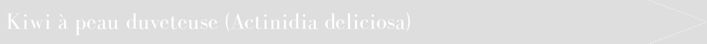 Étiquette de : Actinidia deliciosa - format b - style blanche20bod avec comestibilité