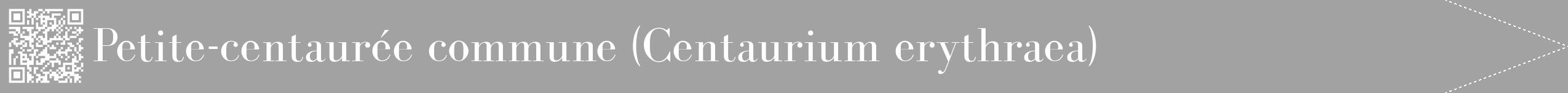 Étiquette de : Centaurium erythraea - format b - style blanche38bod avec qrcode et comestibilité