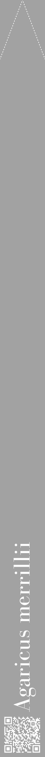 Étiquette de : Agaricus merrillii - format b - style blanche38bod avec qrcode et comestibilité - position verticale