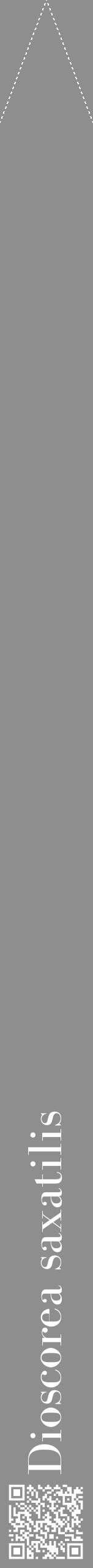 Étiquette de : Dioscorea saxatilis - format b - style blanche25bod avec qrcode et comestibilité - position verticale