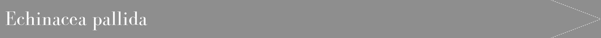 Étiquette de : Echinacea pallida - format b - style blanche25bod avec comestibilité