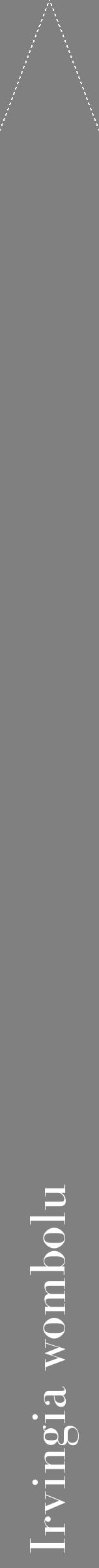 Étiquette de : Irvingia wombolu - format b - style blanche57bod avec comestibilité