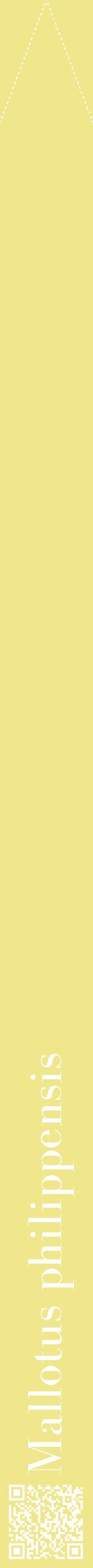 Étiquette de : Mallotus philippensis - format b - style blanche20bod avec qrcode et comestibilité