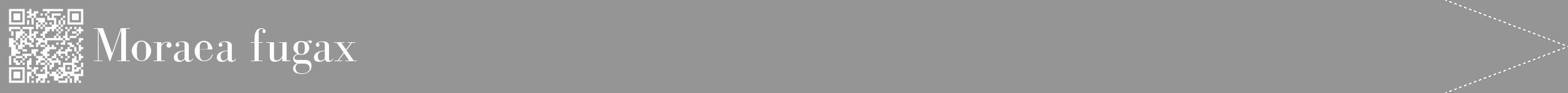 Étiquette de : Moraea fugax - format b - style blanche16bod avec qrcode et comestibilité