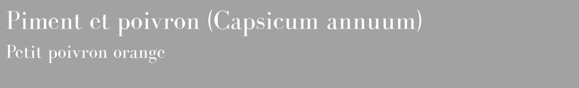 Étiquette de : Capsicum annuum Petit poivron orange - format c - style blanche38_basique_basiquebod avec comestibilité