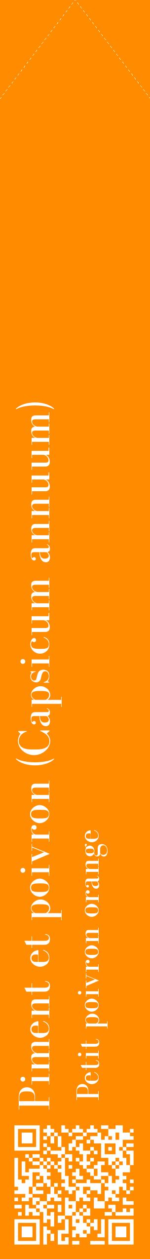 Étiquette de : Capsicum annuum Petit poivron orange - format c - style blanche23_simplebod avec qrcode et comestibilité