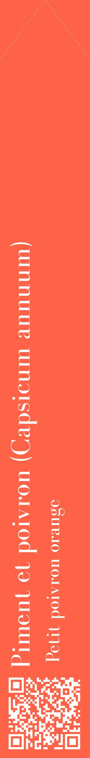Étiquette de : Capsicum annuum Petit poivron orange - format c - style blanche25_simplebod avec qrcode et comestibilité