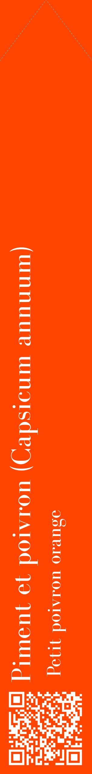 Étiquette de : Capsicum annuum Petit poivron orange - format c - style blanche26_simplebod avec qrcode et comestibilité