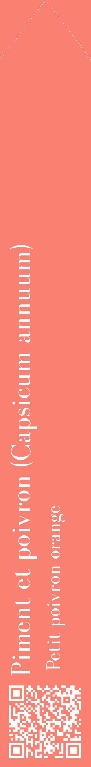 Étiquette de : Capsicum annuum Petit poivron orange - format c - style blanche38_simplebod avec qrcode et comestibilité