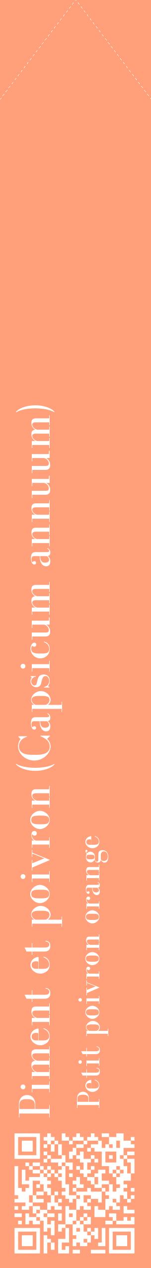 Étiquette de : Capsicum annuum Petit poivron orange - format c - style blanche39_simplebod avec qrcode et comestibilité