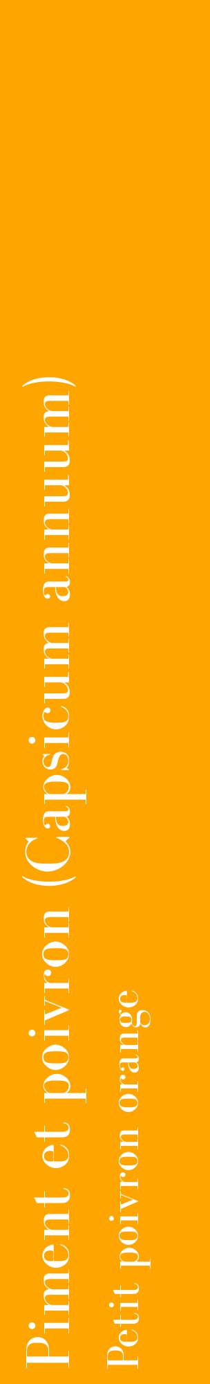 Étiquette de : Capsicum annuum Petit poivron orange - format c - style blanche22_basiquebod avec comestibilité