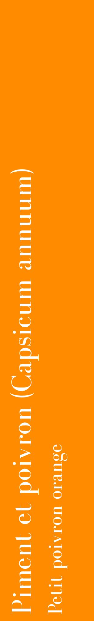 Étiquette de : Capsicum annuum Petit poivron orange - format c - style blanche23_basiquebod avec comestibilité
