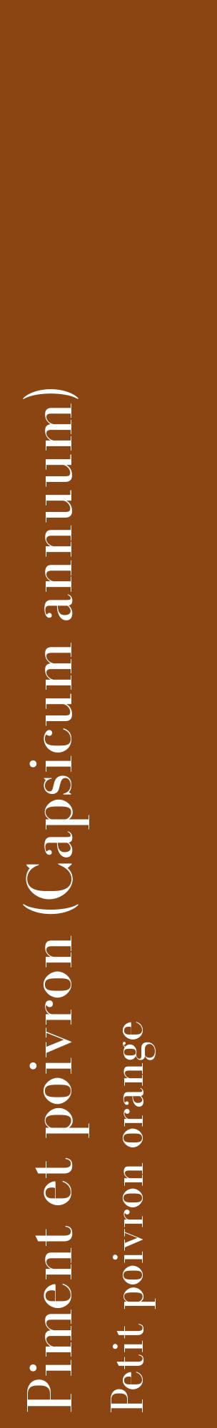 Étiquette de : Capsicum annuum Petit poivron orange - format c - style blanche30_basiquebod avec comestibilité