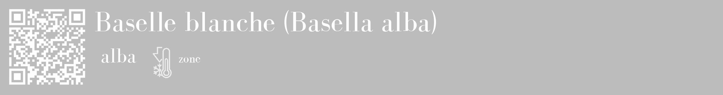 Étiquette de : Basella alba alba - format c - style blanche1_basique_basiquebod avec qrcode et comestibilité