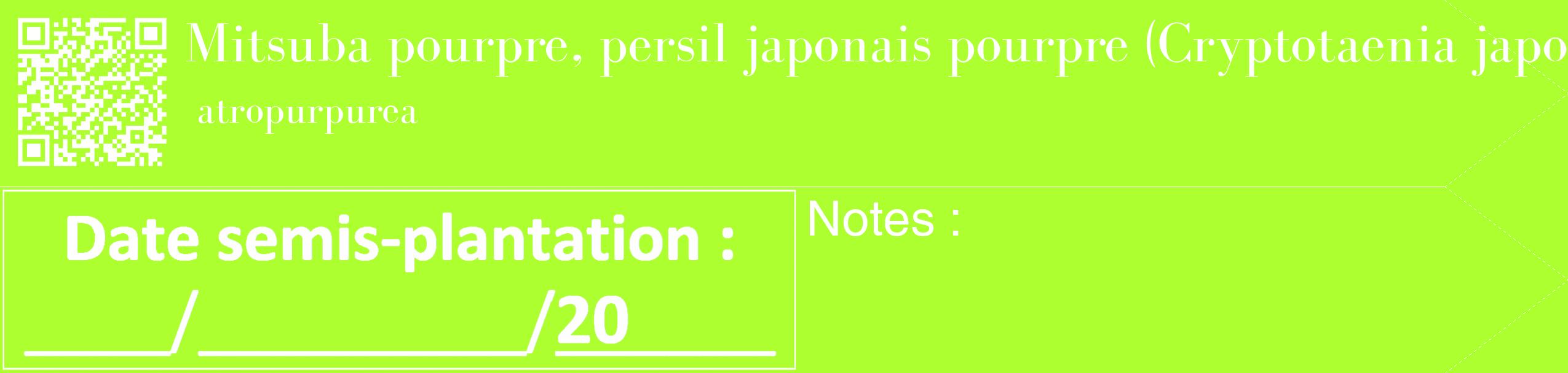 Étiquette de : Cryptotaenia japonica atropurpurea - format c - style blanche17_simple_simplebod avec qrcode et comestibilité