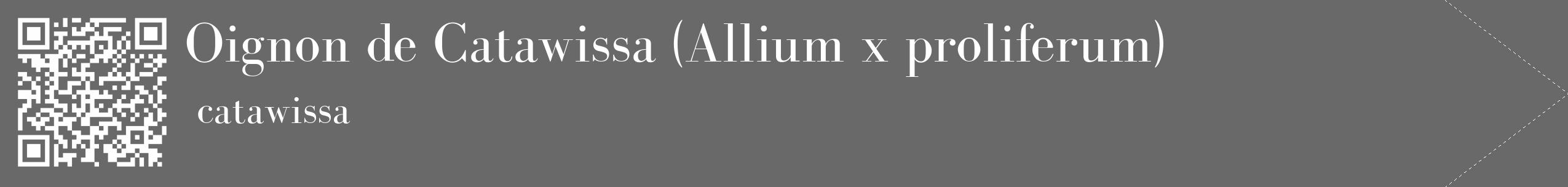 Étiquette de : Allium x proliferum catawissa - format c - style blanche11_simple_simplebod avec qrcode et comestibilité