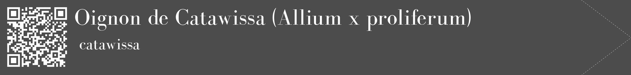 Étiquette de : Allium x proliferum catawissa - format c - style blanche27_simple_simplebod avec qrcode et comestibilité