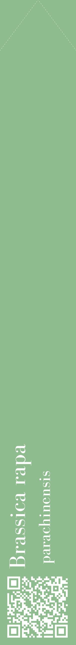Étiquette de : Brassica rapa parachinensis - format c - style blanche13_simplebod avec qrcode et comestibilité