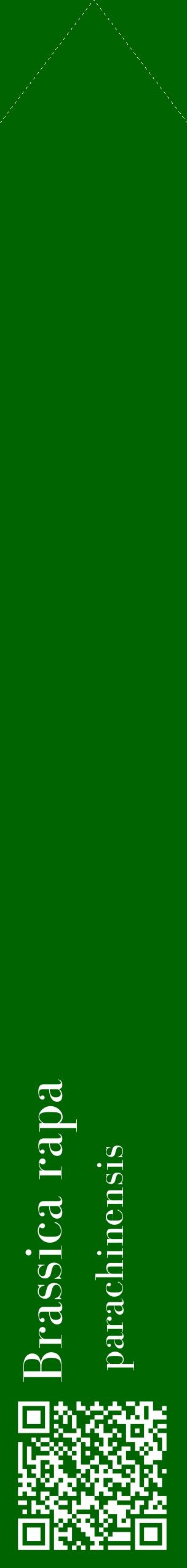 Étiquette de : Brassica rapa parachinensis - format c - style blanche8_simplebod avec qrcode et comestibilité
