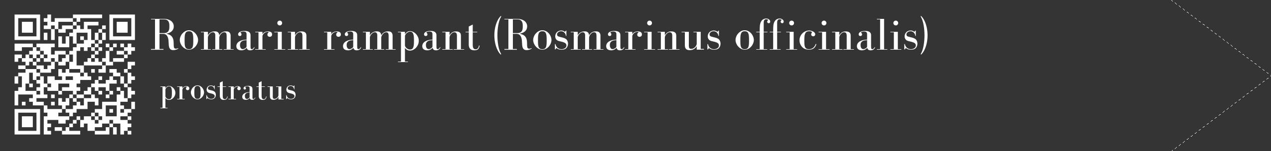 Étiquette de : Rosmarinus officinalis prostratus - format c - style blanche46_simple_simplebod avec qrcode et comestibilité