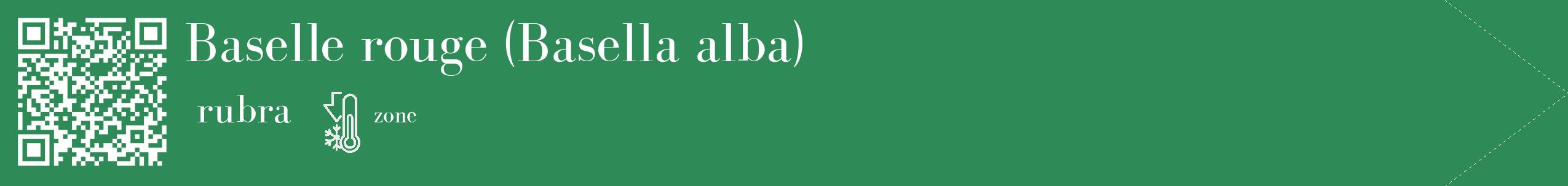 Étiquette de : Basella alba rubra - format c - style blanche11_simple_simplebod avec qrcode et comestibilité