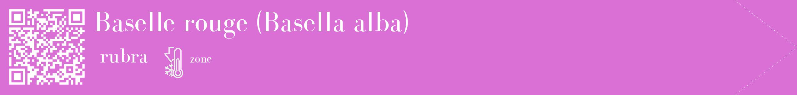 Étiquette de : Basella alba rubra - format c - style blanche52_simple_simplebod avec qrcode et comestibilité