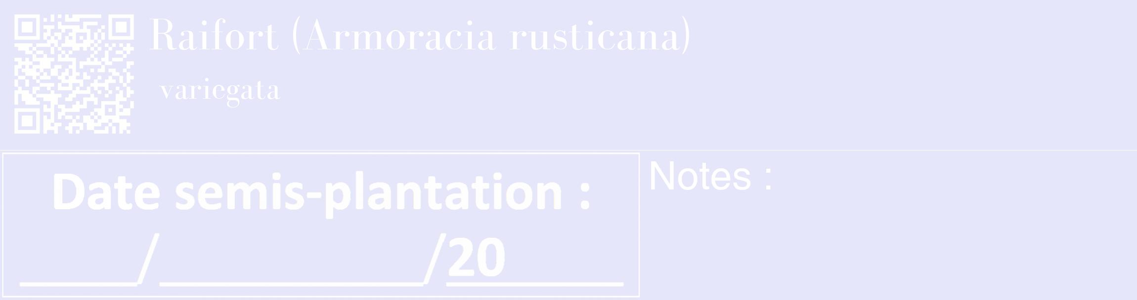 Étiquette de : Armoracia rusticana variegata - format c - style blanche55_basique_basiquebod avec qrcode et comestibilité