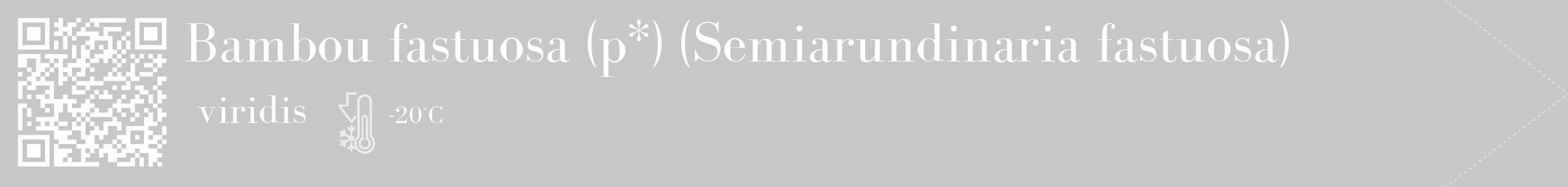 Étiquette de : Semiarundinaria fastuosa viridis - format c - style blanche15_simple_simplebod avec qrcode et comestibilité