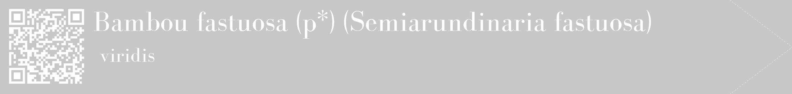 Étiquette de : Semiarundinaria fastuosa viridis - format c - style blanche15_simple_simplebod avec qrcode et comestibilité