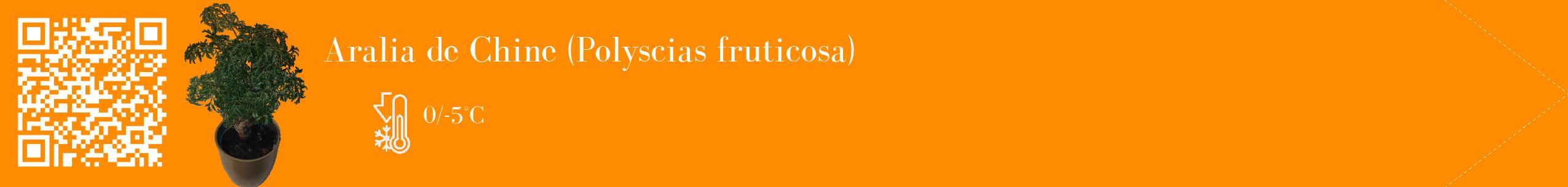 Étiquette de : Polyscias fruticosa - format c - style blanche23_simple_simplebod avec qrcode et comestibilité