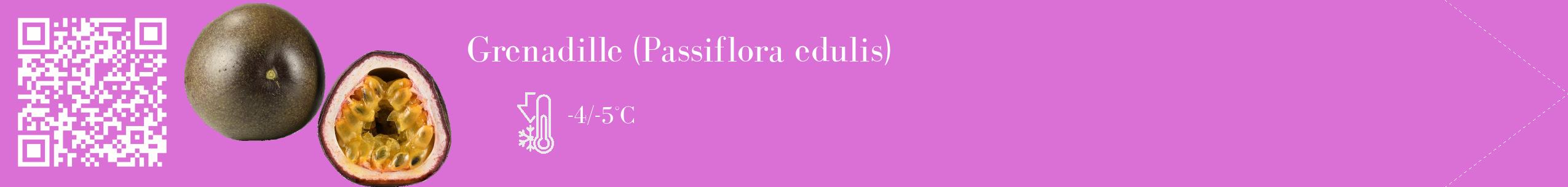 Étiquette de : Passiflora edulis - format c - style blanche52_simple_simplebod avec qrcode et comestibilité