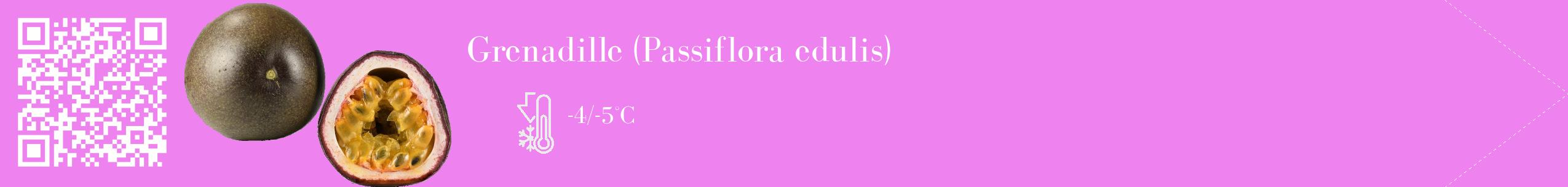 Étiquette de : Passiflora edulis - format c - style blanche53_simple_simplebod avec qrcode et comestibilité