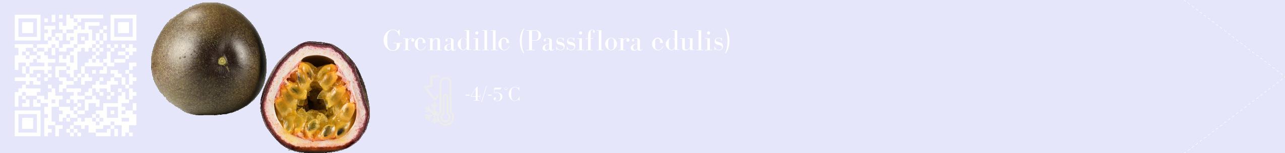 Étiquette de : Passiflora edulis - format c - style blanche55_simple_simplebod avec qrcode et comestibilité