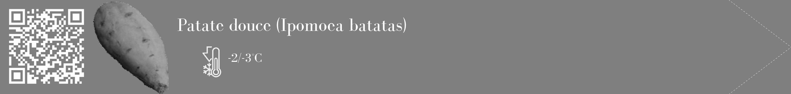Étiquette de : Ipomoea batatas - format c - style blanche31_simple_simplebod avec qrcode et comestibilité
