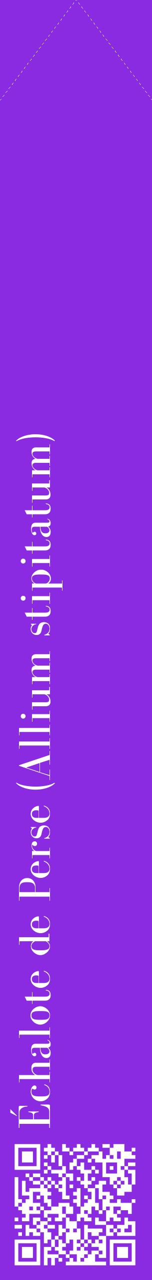 Étiquette de : Allium stipitatum - format c - style blanche49_simplebod avec qrcode et comestibilité