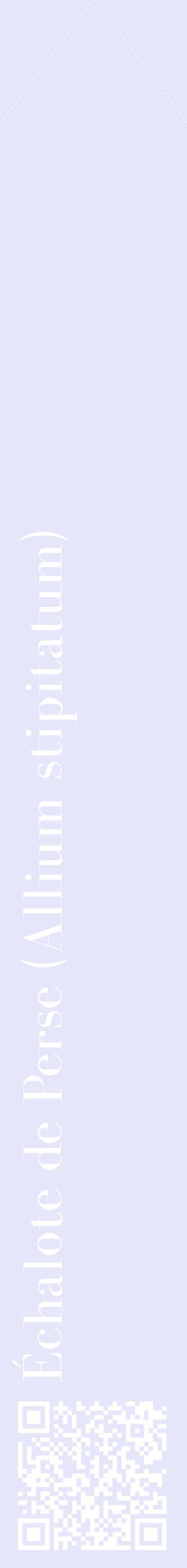 Étiquette de : Allium stipitatum - format c - style blanche55_simplebod avec qrcode et comestibilité