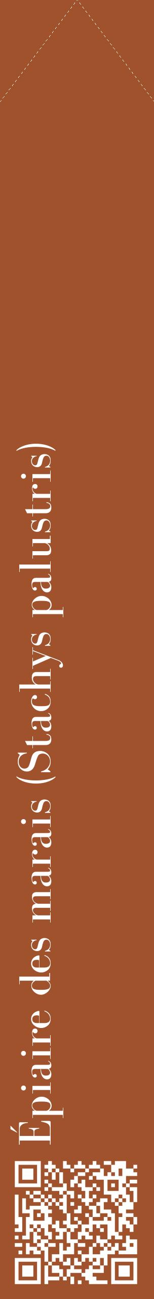 Étiquette de : Stachys palustris - format c - style blanche32_simplebod avec qrcode et comestibilité
