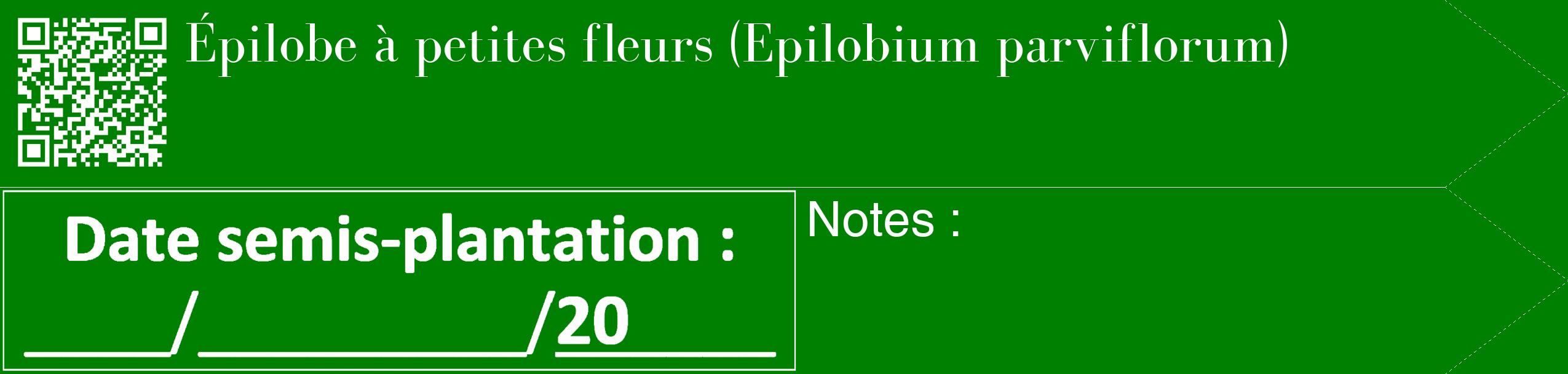 Étiquette de : Epilobium parviflorum - format c - style blanche9_simple_simplebod avec qrcode et comestibilité